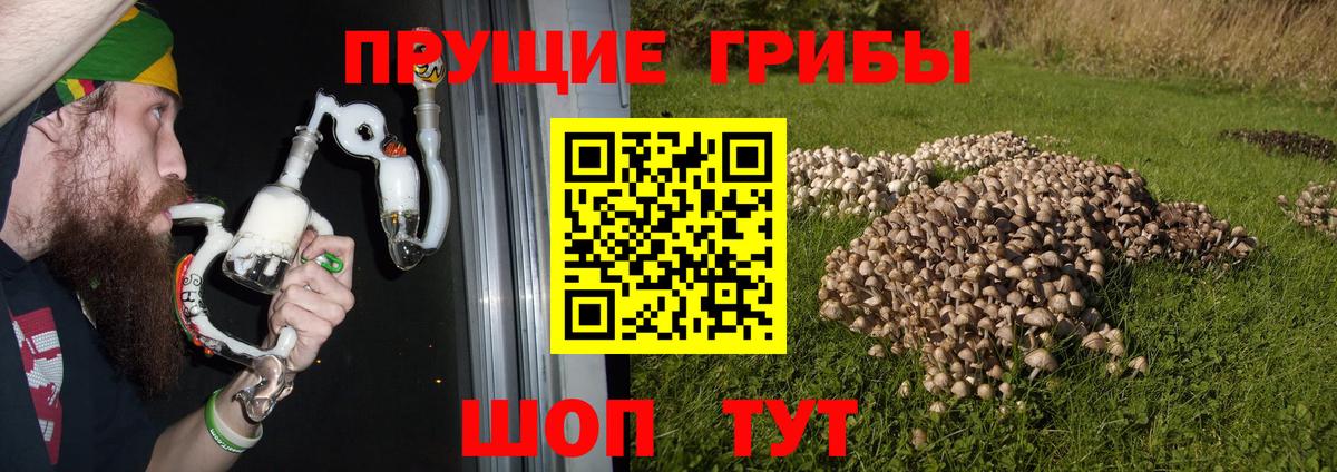 Галлюциногенные грибы мухоморы  Вход с VPN  где купить наркотик  Галлюциногенные грибы ЛСД  Кинель 